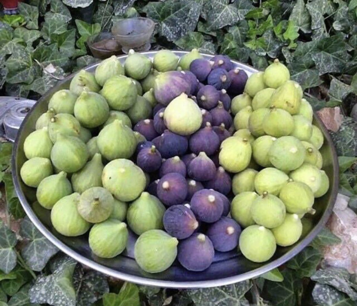 #تراث
1️⃣
قصيدة جدتي
قبل حوالي ٢٨ عاماً نسج الدكتور شاهر النهاري رائعته التراثية باللهجة المحلية لمن...