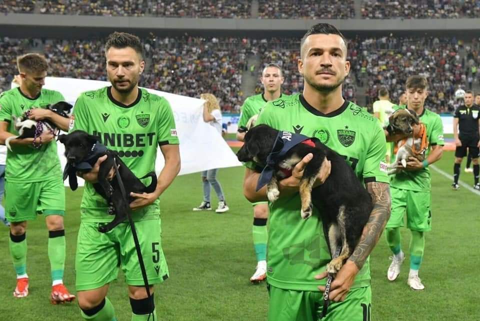 To help raise awareness about love and respect for animals, the Romanian Football League have asked players to take to the field with stray dogs to encourage people to adopt abandoned pets