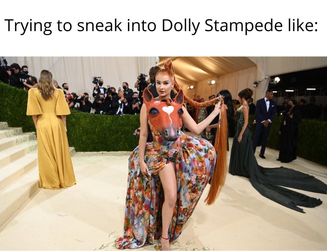 CabinsForYou's tweet photo. We’re just trying to see something… @DollysStampede #MetGala #MetGala2021 #METGalamemes https://t.co/UC3vRsFdsy