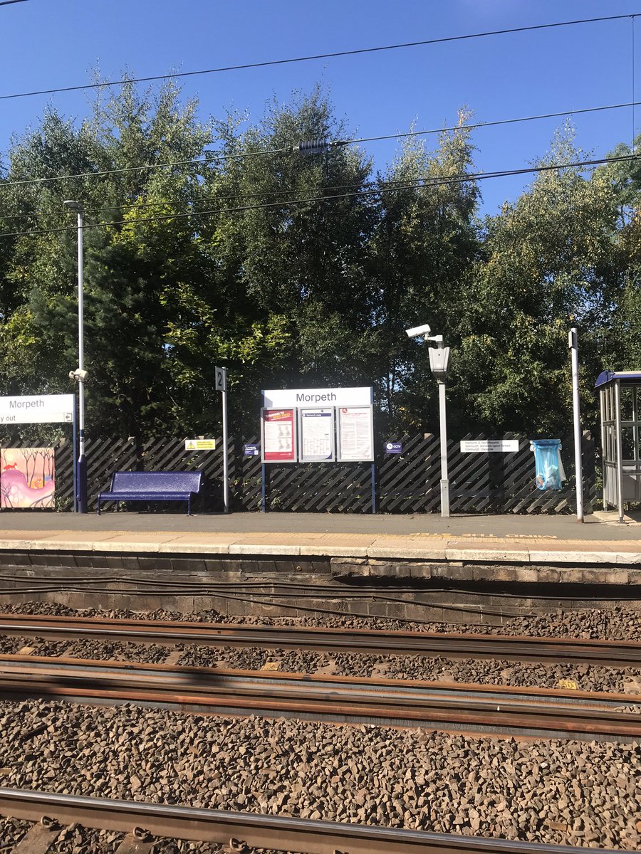 Julie Cota tweet media