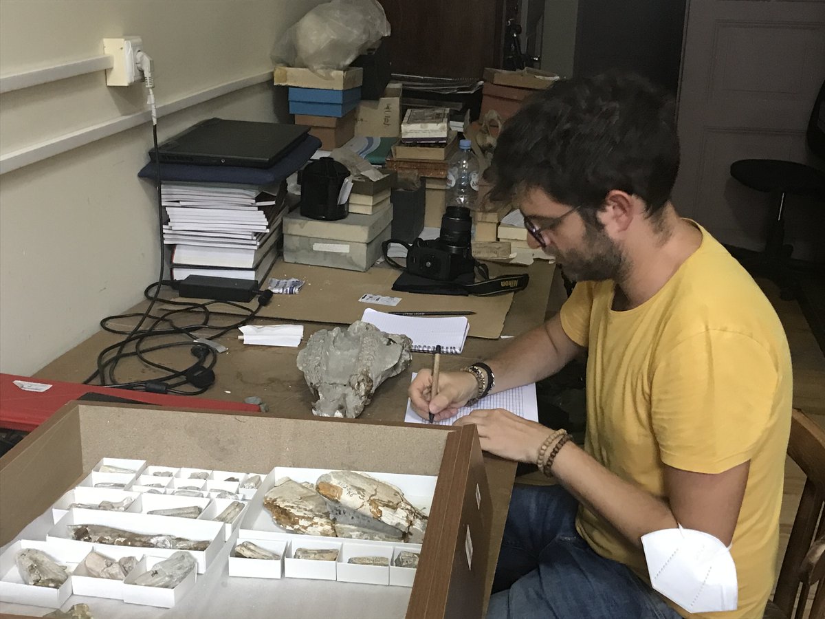 PaleoFabLab UNIFI tweet media