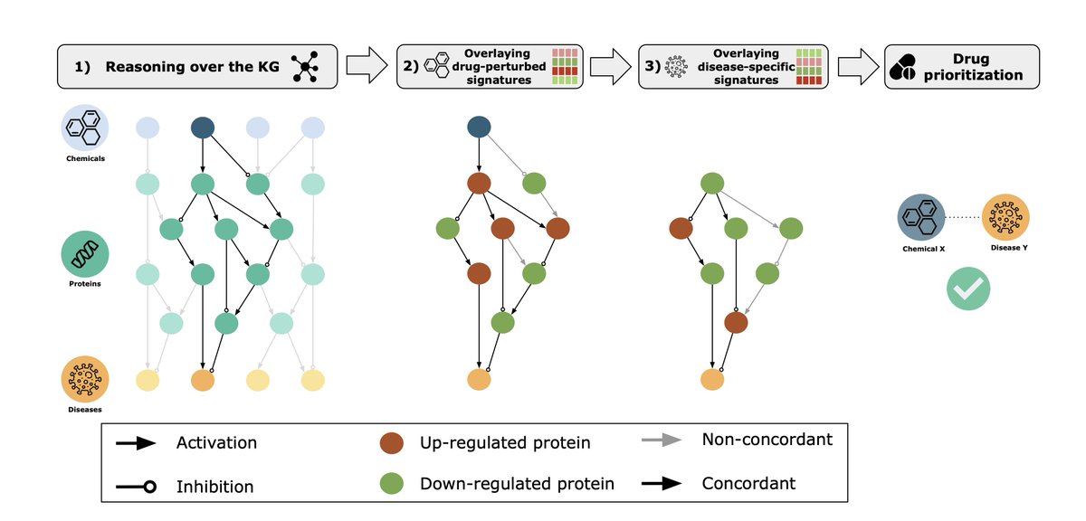 lifeschemistry's tweet photo. 6/ Here 👇 we outline the concept of #RPath. First, the algorithm identifies the thousands of #paths in a KG that connect a drug to a particular indication of interest 🦠. https://t.co/nNrs72m7E6