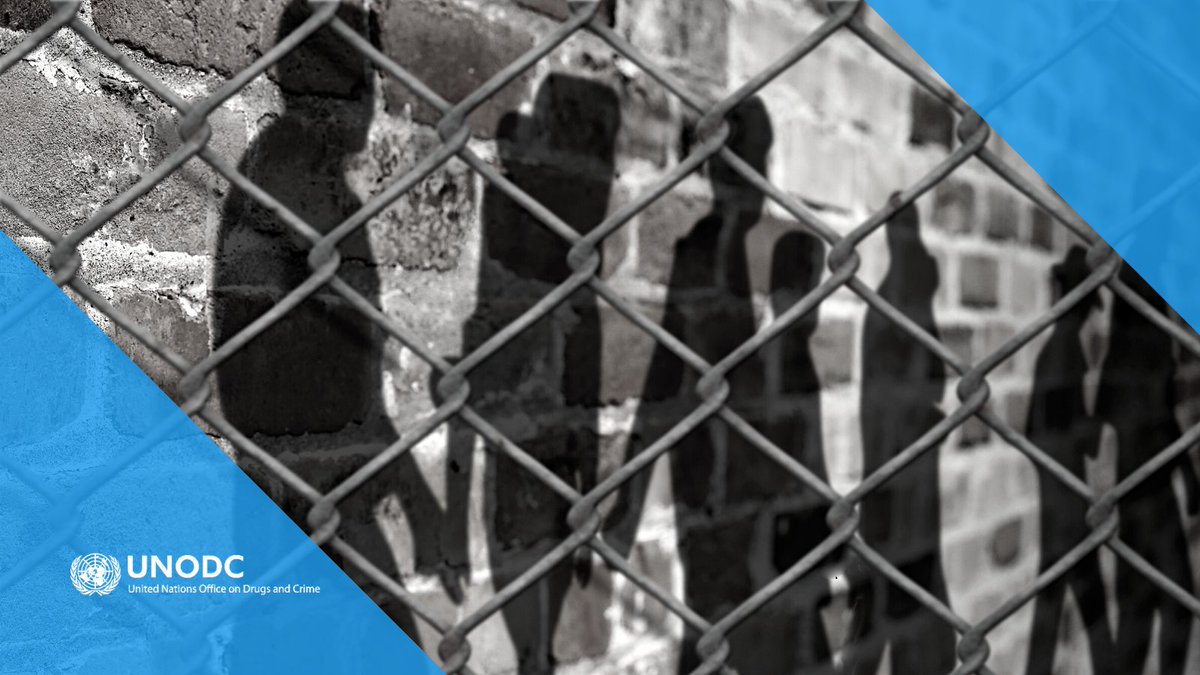 UNODC_ROPAN's tweet photo. El #COVID19 ha sumido a las personas marginadas aún más en la desesperación, haciéndolas vulnerables a la #TrataDePersonas. Escuchemos a las y los sobrevivientes para identificar riesgos y lagunas en las medidas de apoyo y detener a los tratantes. 

#UnPanamáSinTrata https://t.co/H6chegGrRc
