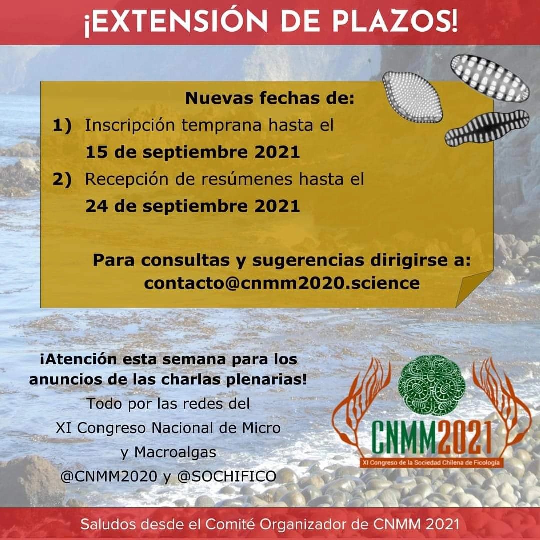sochifico's tweet photo. Recuerda que aún puedes inscribirte y mandar tu resumen!
@cnmm2020 ‼️ https://t.co/8Qeovq6sTa
