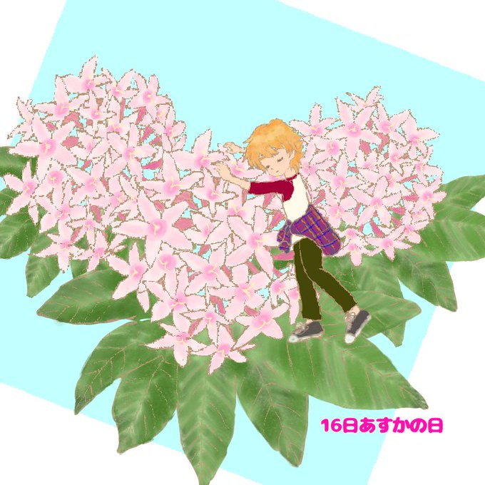 Twoucan ペンタス の注目ツイート イラスト マンガ Twoucan ペンタス の注目ツイート イラスト マンガ