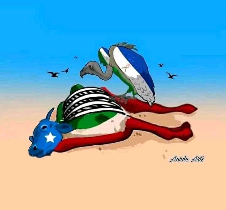 stromea (@fahmimoumin) on Twitter photo 