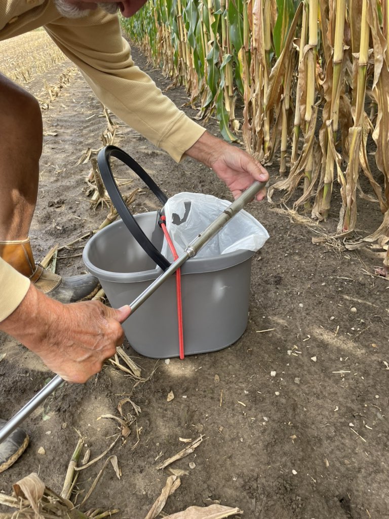 Checking to see how good our N management was this season in this impressive field of corn silage. We’re taking soil and stalk nitrate tests here.