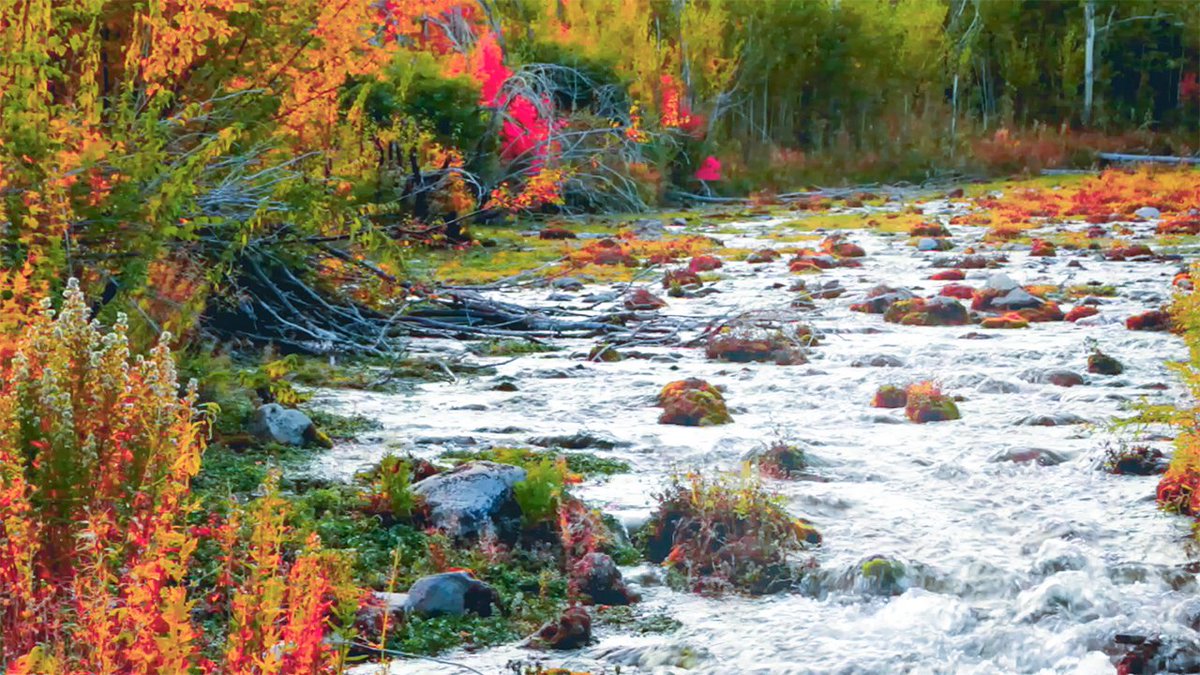 screen_storm's tweet image. youtu.be/m3TwxJzKSvc
#riversound #foreststream #healing