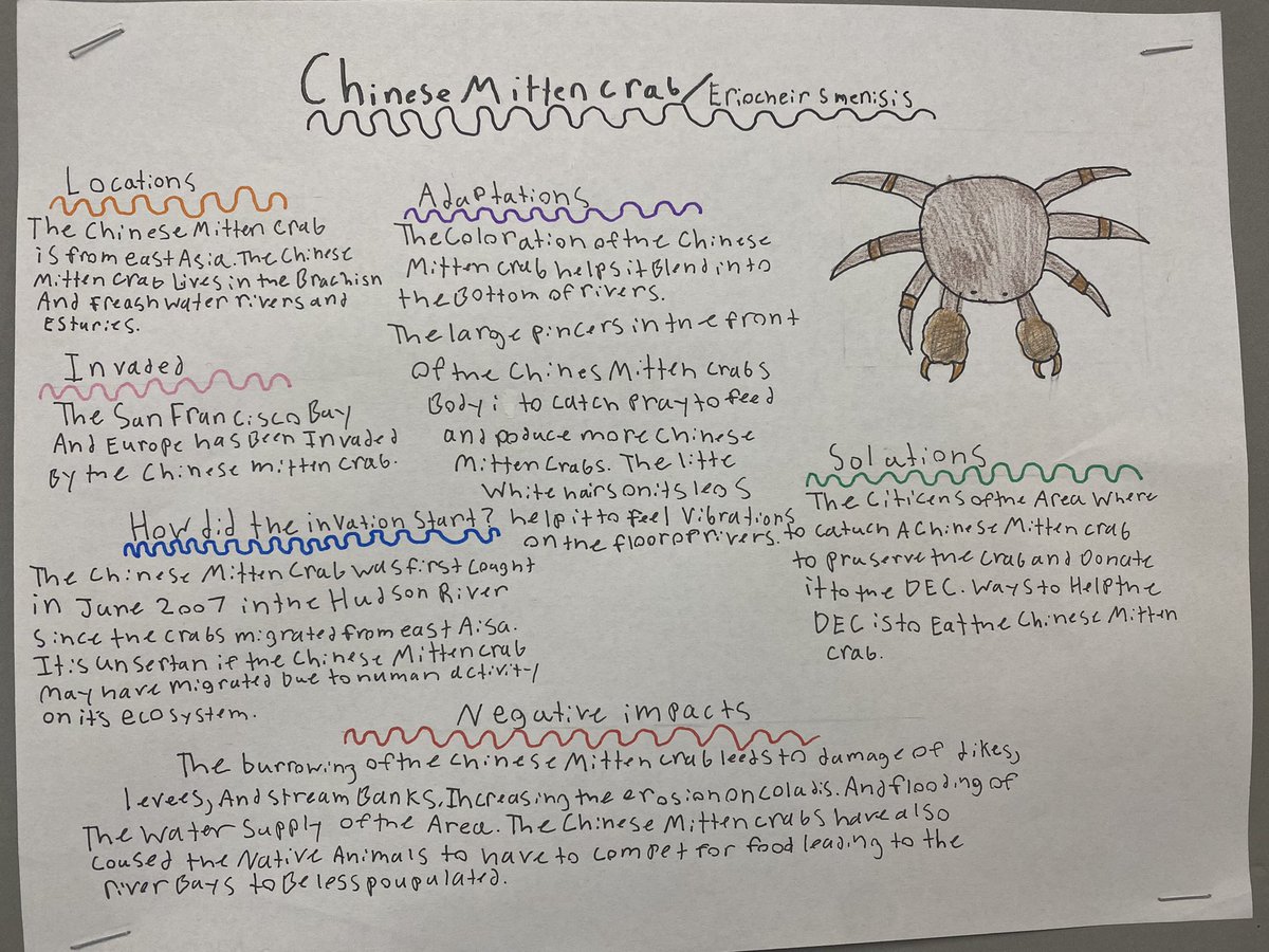 LazareScience's tweet image. Nutria. 🐀 European rabbits. 🐇 Mittencrab. 🦀 Lion fish. 🐟 Murder hornet. 🐝 Black crazy ant. 🐜 what do all of these organisms have in common??? They are INVaSIVe SPecIES. Learn more here #jagscience #readwriteshare #engage #thursdayvibe @JhsJags