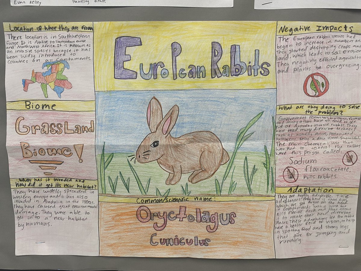 LazareScience's tweet image. Nutria. 🐀 European rabbits. 🐇 Mittencrab. 🦀 Lion fish. 🐟 Murder hornet. 🐝 Black crazy ant. 🐜 what do all of these organisms have in common??? They are INVaSIVe SPecIES. Learn more here #jagscience #readwriteshare #engage #thursdayvibe @JhsJags