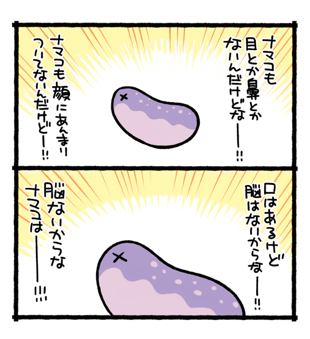顔がない不思議生きものが人気と聞いたナマコ 