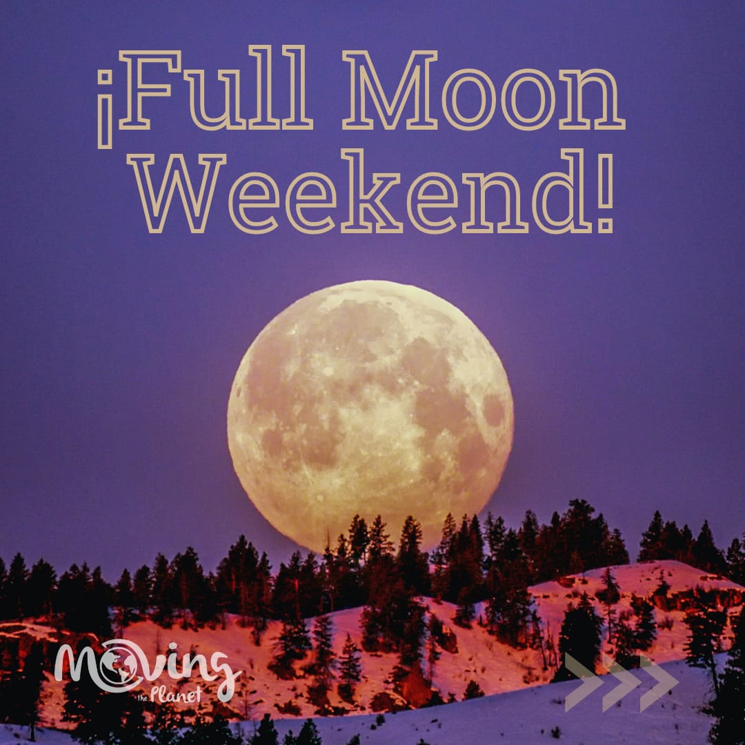 movingtheplanet's tweet photo. ¡Este finde te proponemos un reto nocturno!🌙
Haz una excursión a donde tú quieras y saca la mejor foto de La Luna 📷 La mejor, la compartiremos en nuestras redes mencionándote 💪
Como siempre, te recordamos dejar limpios los sitios que visites♻️ Comparte tu #movingchain 🚮 https://t.co/n0IcdQXnJO