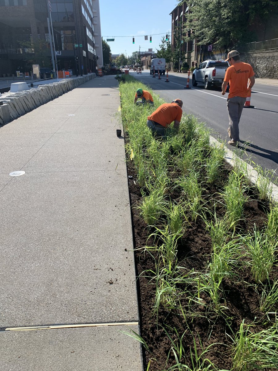 ErinMHathaway's tweet photo. First planting day on #townbranchcommons 🌿🌱🌾@LexingtonKyGov https://t.co/UKqkBXWl4C