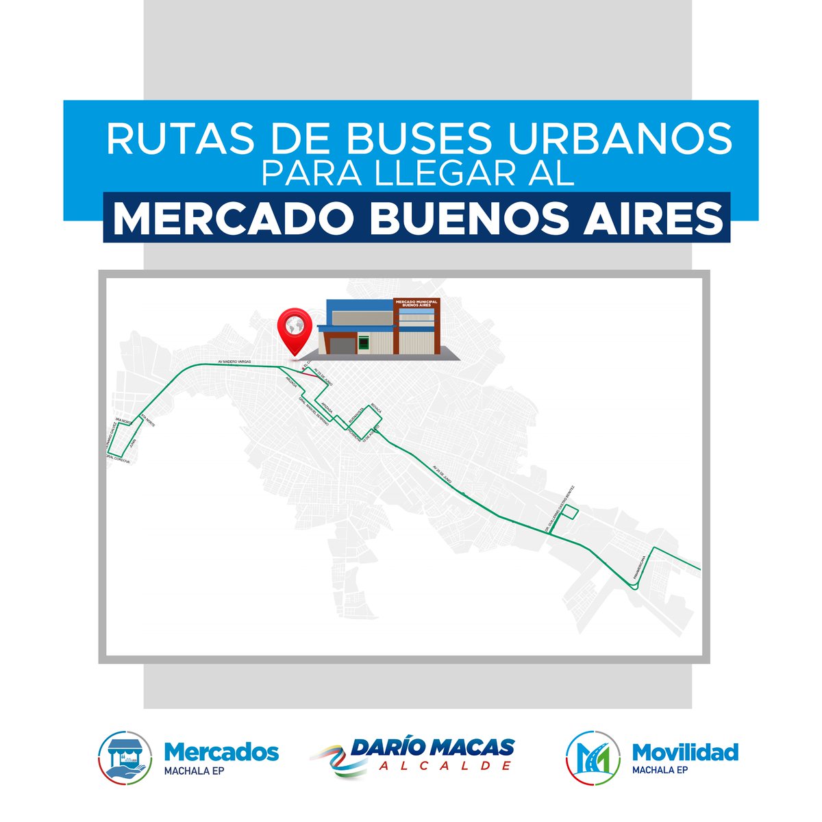 MercadosMachala's tweet photo. Para mayor comodidad de la ciudadanía que acude al Mercado Buenos Aires y fomentando el orden comercial, desde hoy nuestros usarios podrán contar con el servicio de transporte urbano #LINEA1 #LINEA13, gracias a la gestión del Alcalde de Machala @MacasDario1 y @MovMachEp https://t.co/dIzXyd7Hav
