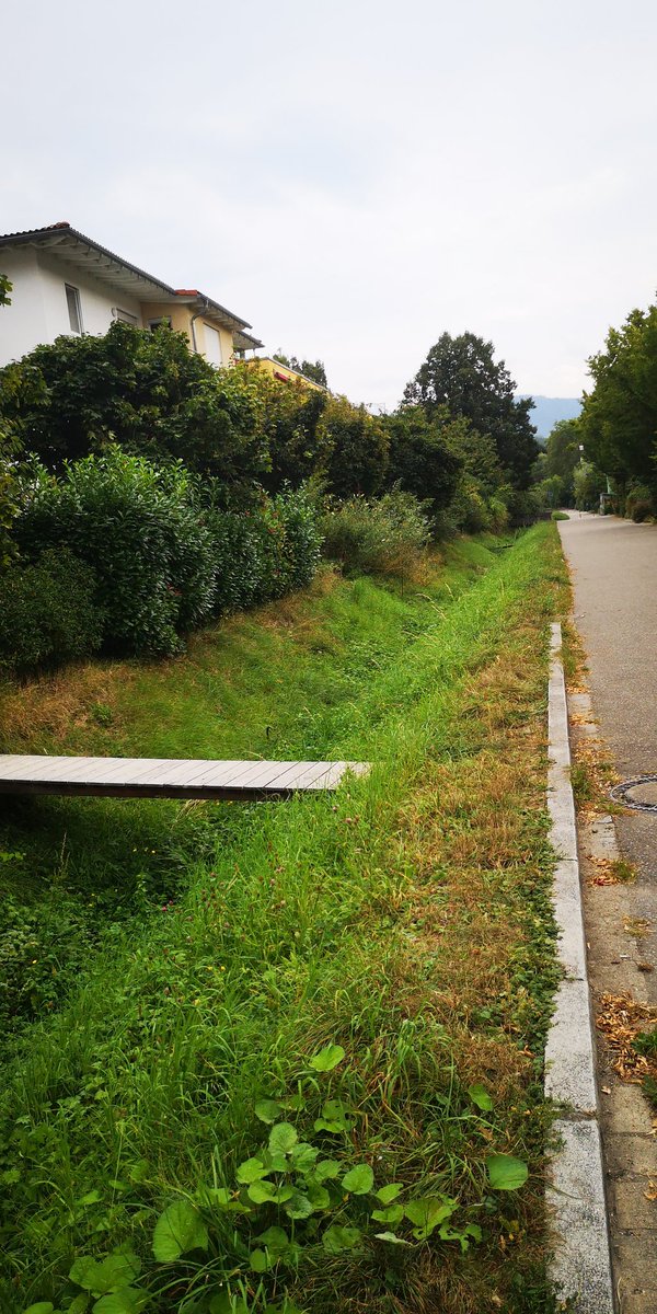 xholonx's tweet image. Überschwemmungsgraben #Vodan #Freiburg