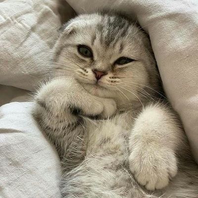 Pretty please?