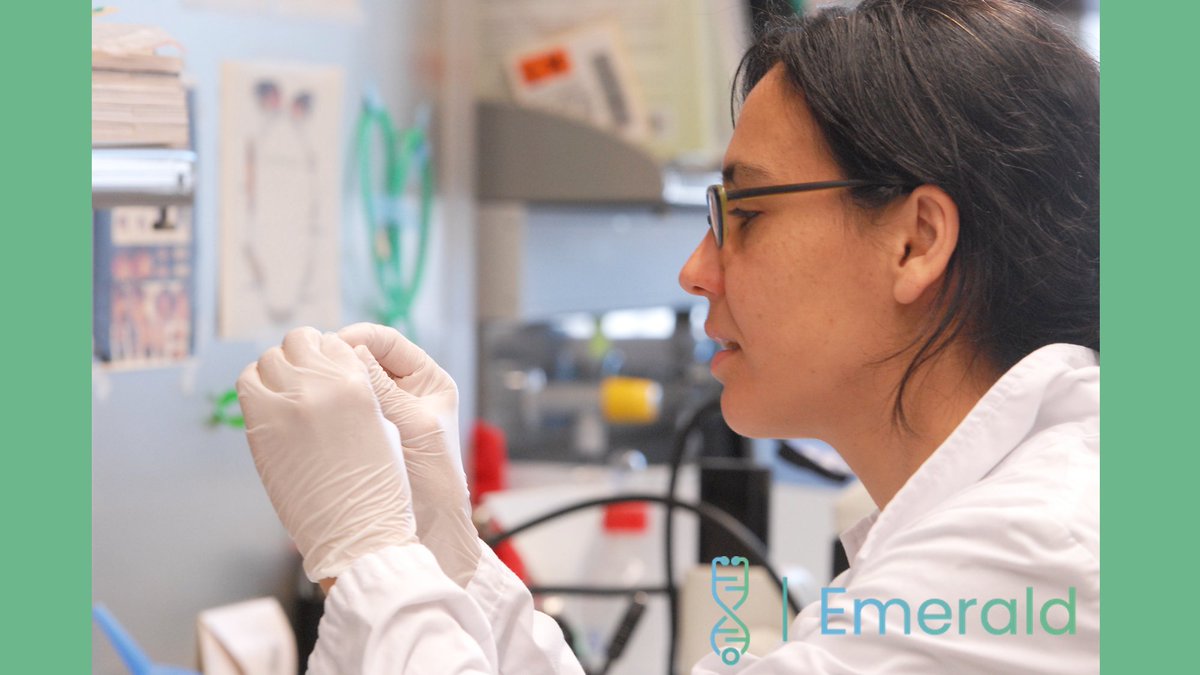 CALL FOR APPLICATIONS
🩺Do you have medical degree?
💉Eager to understand #diseases and develop novel treatments?
🧠Driven to pursue a #PhD?
👇
APPLY NOW to Emerald emerald-mdphd.eu #EmeraldMDPhD #CareerDevelopment