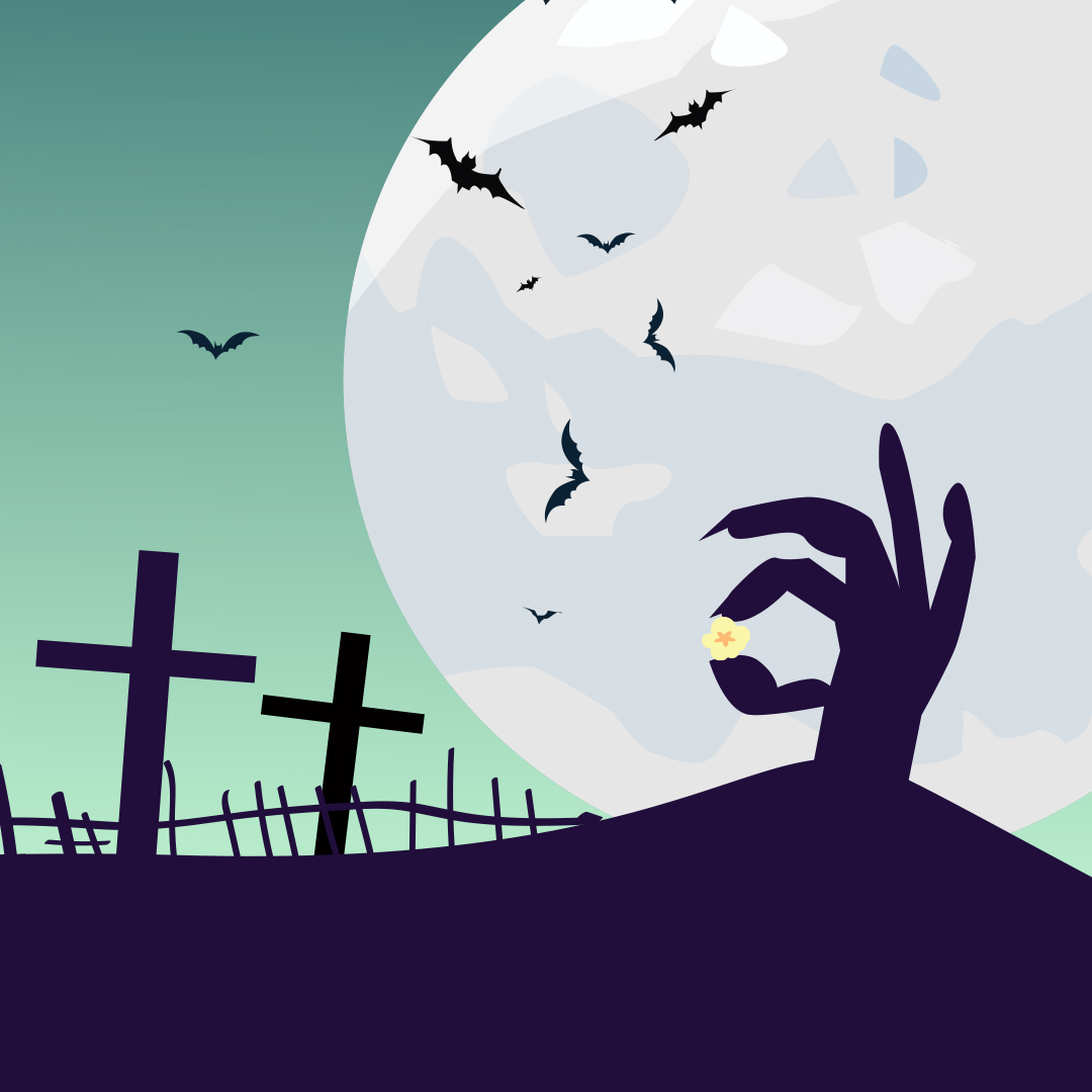 KernelsExpress's tweet image. *Does not include actual brains* 
Spooky season is upon us and Zombie Corn is BACK!

 👻 👻 👻

#spookyseason #trickortreat #popcorn #fall #gourmetpopcorn  #candy #spooky #zombie #kernelspopcornexpress #popcornshop #smallbusiness #shopsmallbusiness