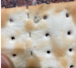 romero_rony's tweet photo. 5/10 Al abrir un paquete y comer varios de ellos..  mi sorpresa encontrar en una de las galletas  un trozo de metal (si de metal) estampado también en la galleta. En este momento vi lo peligroso de la situación ya que no se trata unicamente del tema  de calidad https://t.co/v6No0SA1w6