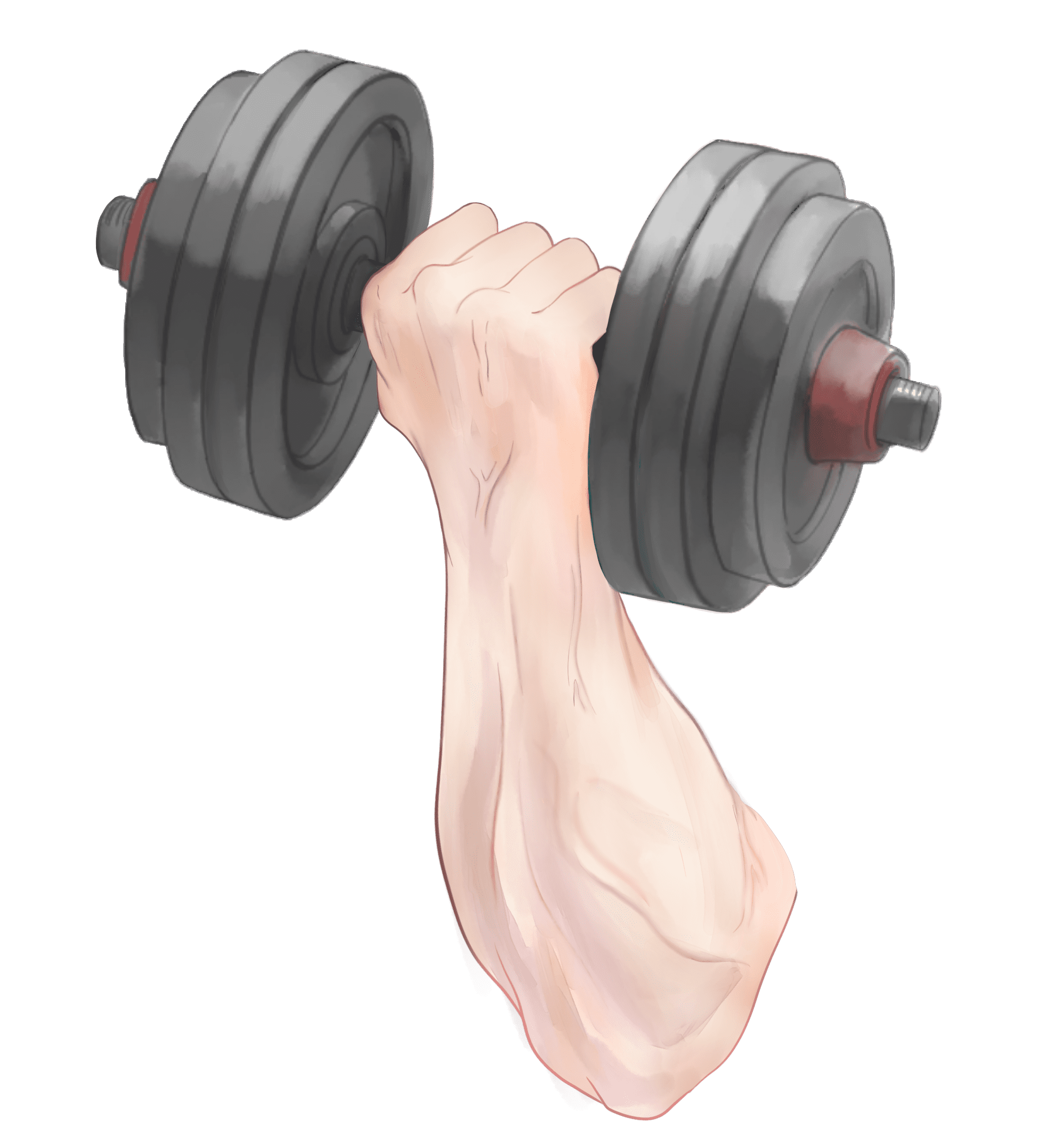 あや 筋トレ腕png Vtuber素材 フリー素材 T Co Ohawfzkp Twitter