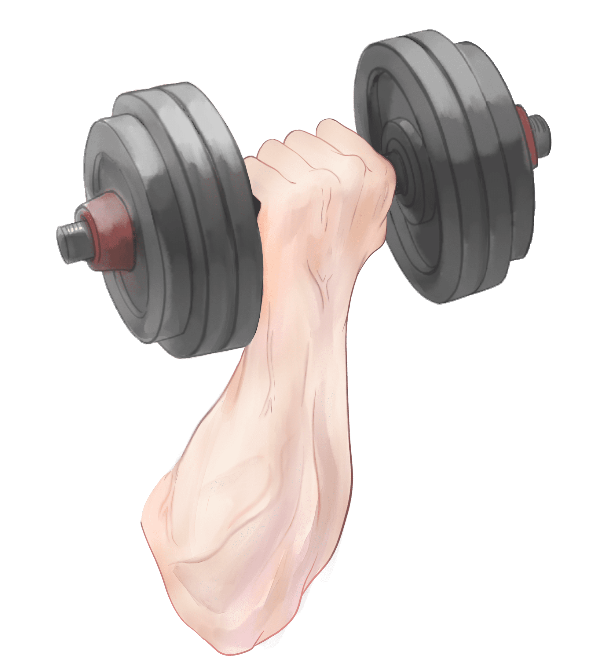 あや 筋トレ腕png Vtuber素材 フリー素材 T Co Ohawfzkp Twitter