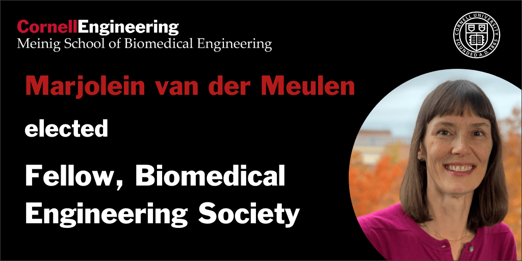 Cornell Biomedical Engineering tweet media