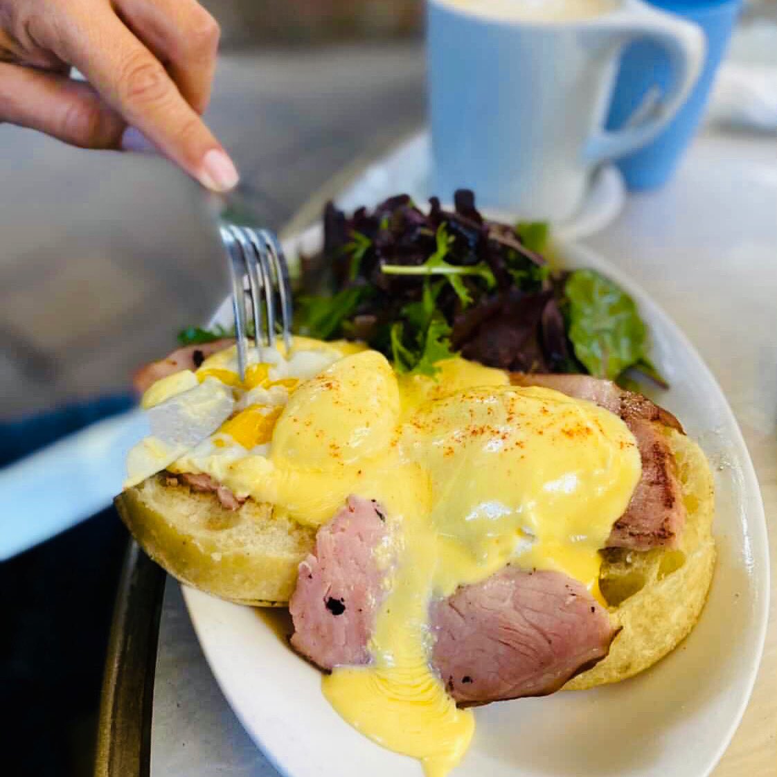 SunflowerCaffe's tweet photo. Thursday mornings be like…
✨Eggs Benedict✨
poached eggs, Duroc ham, lemony hollandaise, english muffin, French vinaigrette dressed lettuces
Photo credit @nati930
#eggsbenedict #eggsofinstagram #brunch ##eggfast #lifeopensup https://t.co/1eQuCZaHum