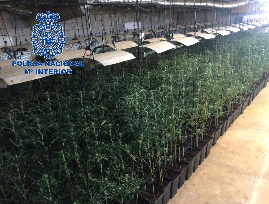 Tots els policies de la unitat antidroga de Mèrida, detinguts per tràfic de marihuana
bit.ly/3lMDlY7