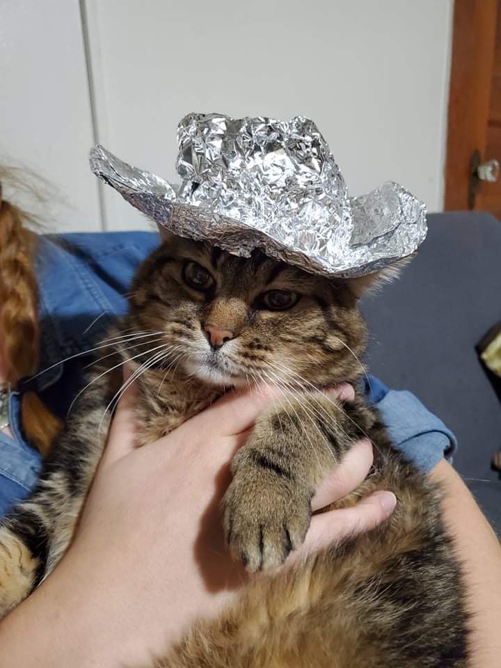 Aubrey: Spring Edition 🐀🌷 tweet media