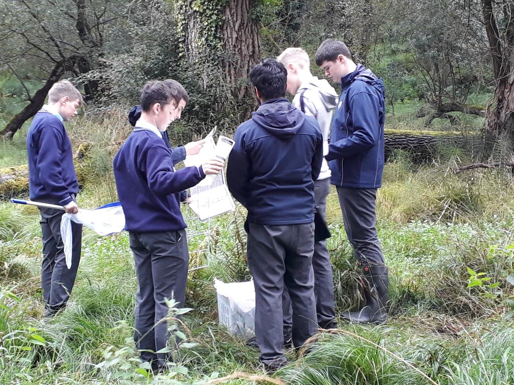 Third years completed their habitat study in Killarney National Park today. They practiced numerous skills such as measuring abiotic factors and carrying out qualitative and quantitative studies.