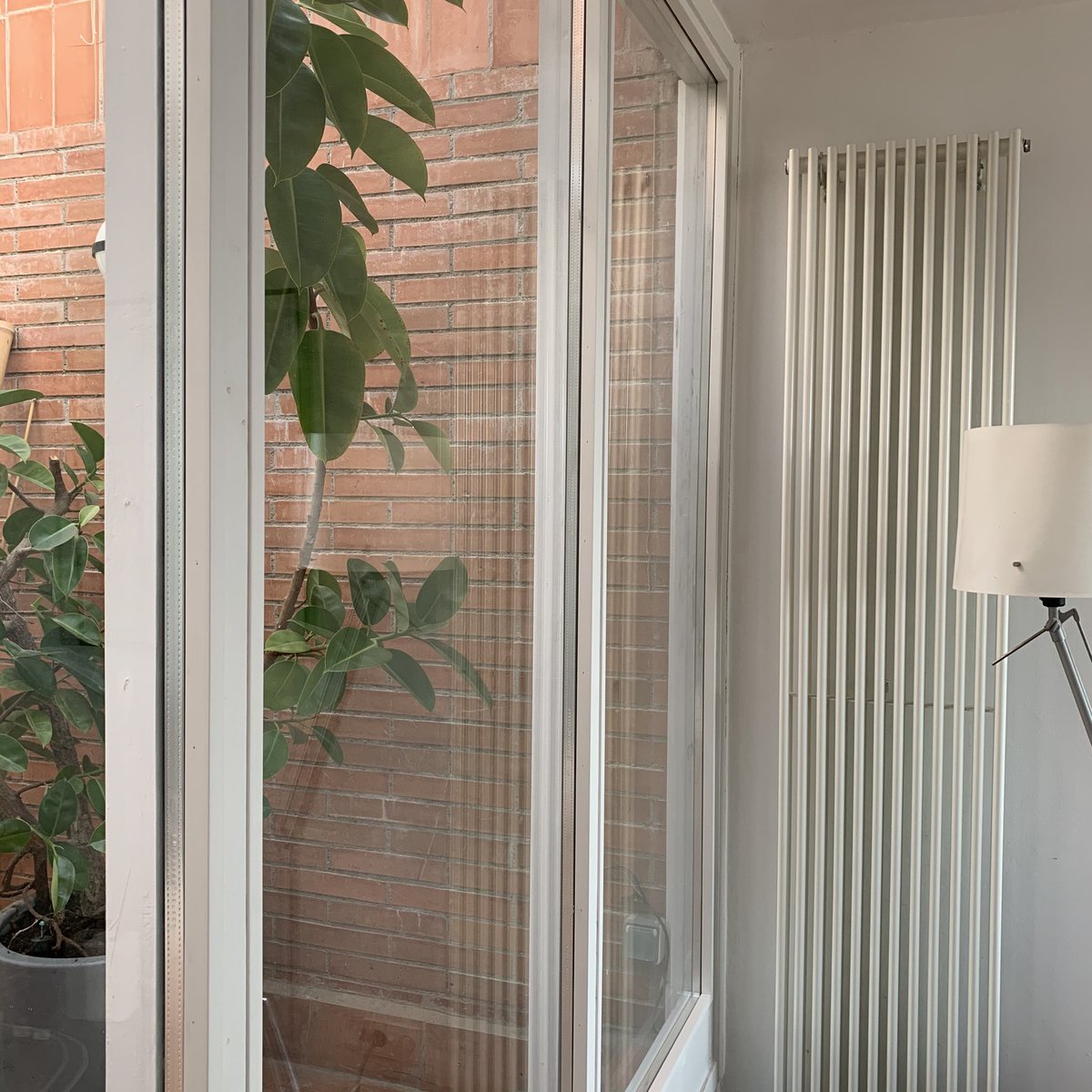 MirasFusters's tweet photo. Vidrios de cámara colocados en el rebaje realizado al galce del ventanal. Vidrios de 32 mm de grueso
#reforma #santcugat #carpinteria #cabinetmaker #carpentry #puerta #ventana #ventanal #madera #pino #fusta #vidrios #woodwork #mobiliario #mobiliari #furniture #tradicion #amedida https://t.co/ZqqQcD3FXE