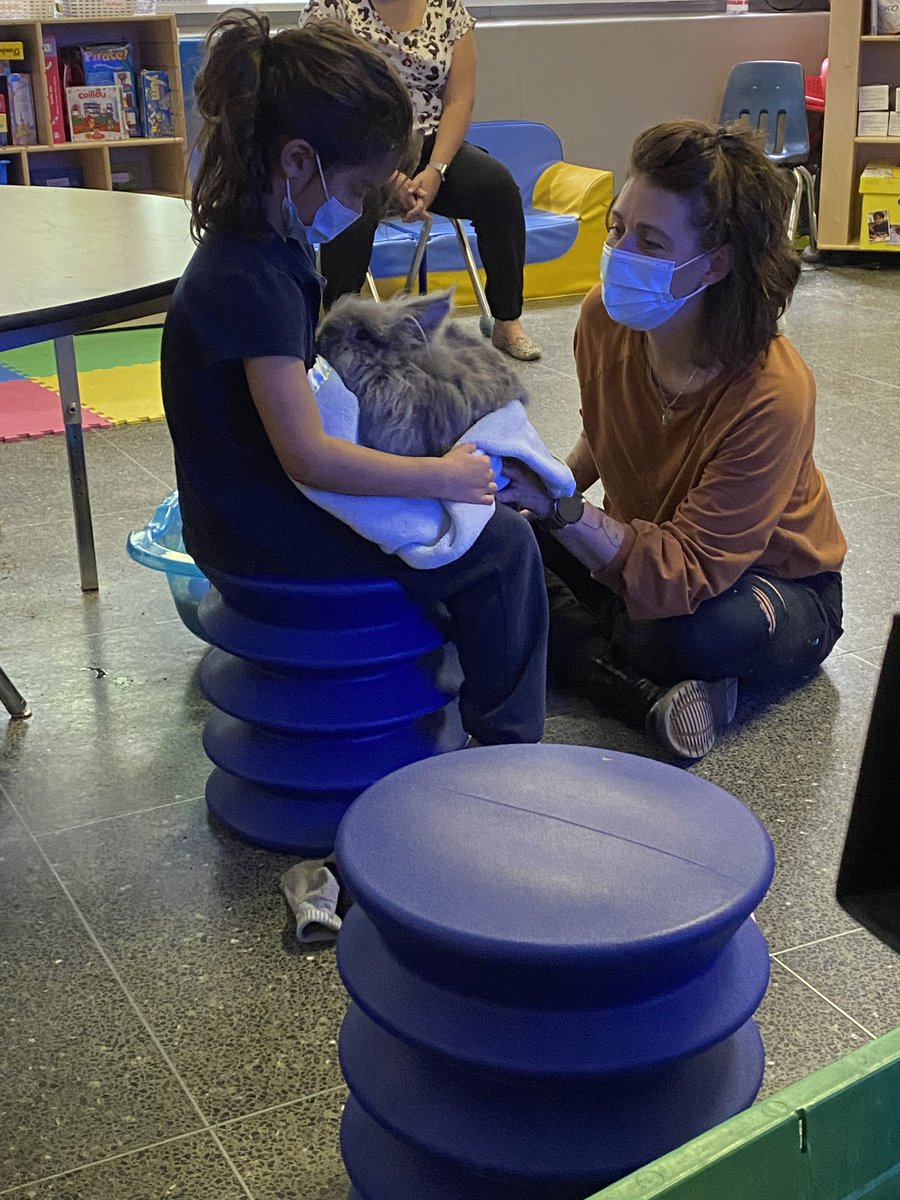 StRaphaelEMSB's tweet photo. Students at St Raphael are “hopping”for joy over the beginning of Pet Therapy with Ms Audrey🐰 #pettherapy #animals https://t.co/dh3vzQBYME