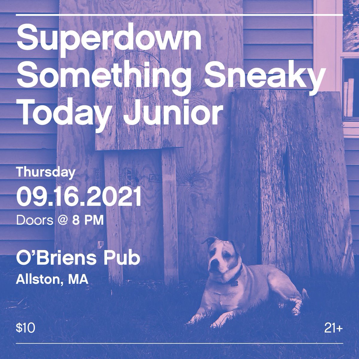 SuperdownMA tweet media