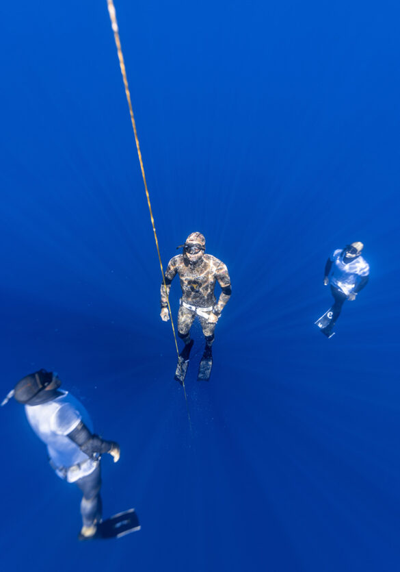 AIDA International tweet media