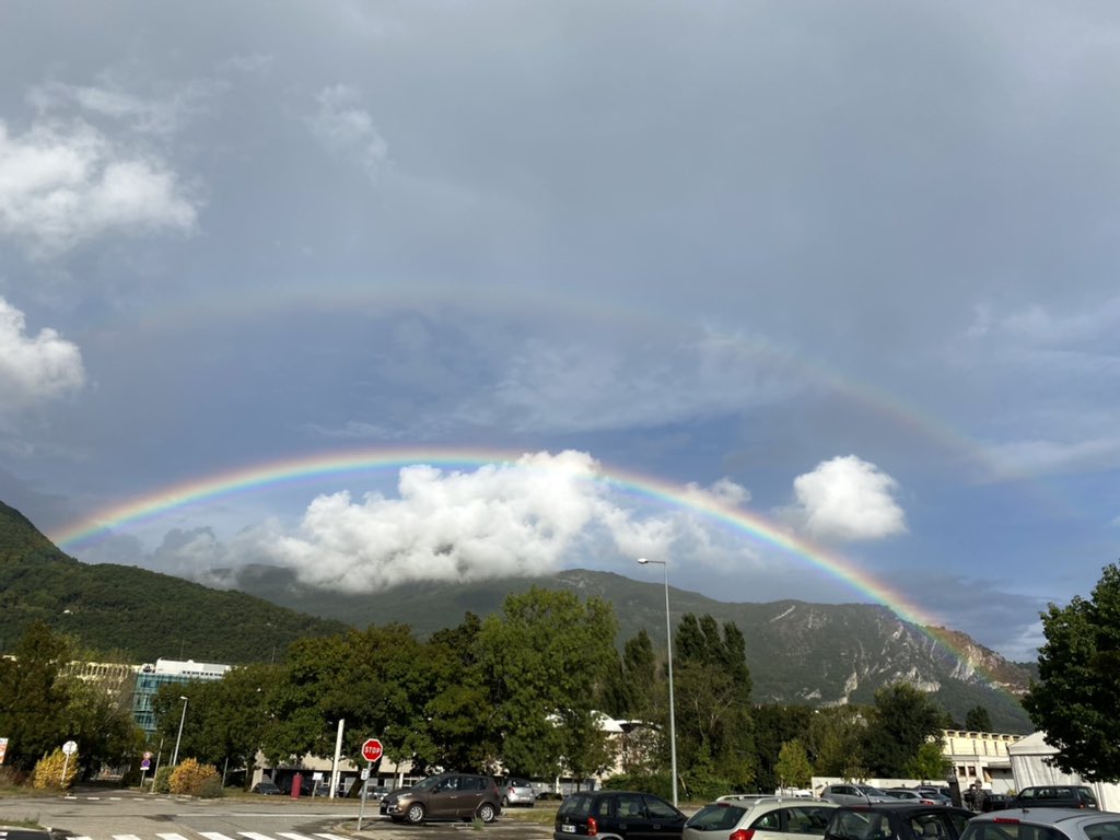 Giovanna Cicognani tweet media