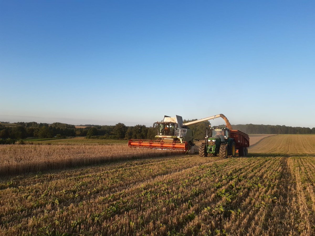DecodAgri's tweet photo. #subventions : @yjadot affirme qu'un #agriculteur👨‍🌾en conventionnel touche plus d'aides qu'en #Bio 
Vrai ou faux❓
✔️Décryptage par @RdHardivilliers pour #DecodAgri
#FactCheck #agriculture #EELV #PrimaireÉcologiste #Pac 
➡️https://t.co/NEbQkceLUR ⬅️ https://t.co/GRXILl2hdA