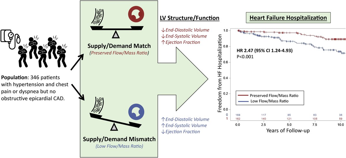 EHJ Editor-in-Chief (@ehj_ed) on Twitter photo Low coronary flow relative to myocardial mass predicts heart failure in symptomatic hypertensive patients with no obstructive CAD. Check the latest insights in EHJ! ow.ly/tlUr50G6Bzz
#myocardium #hypertension #perfusion #HF #cardiotwitter <a href="/escardio/">European Society of Cardiology</a> <a href="/ESC_Journals/">European Society of Cardiology Journals</a> Low coronary flow relative to myocardial mass predicts heart failure in symptomatic hypertensive patients with no obstructive CAD. Check the latest insights in EHJ! ow.ly/tlUr50G6Bzz
#myocardium #hypertension #perfusion #HF #cardiotwitter <a href="/escardio/">European Society of Cardiology</a> <a href="/ESC_Journals/">European Society of Cardiology Journals</a>