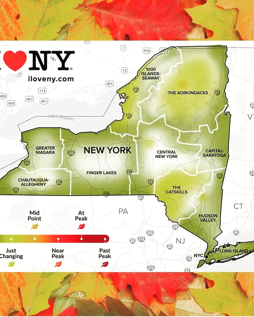 JenRealtorNY tweet picture