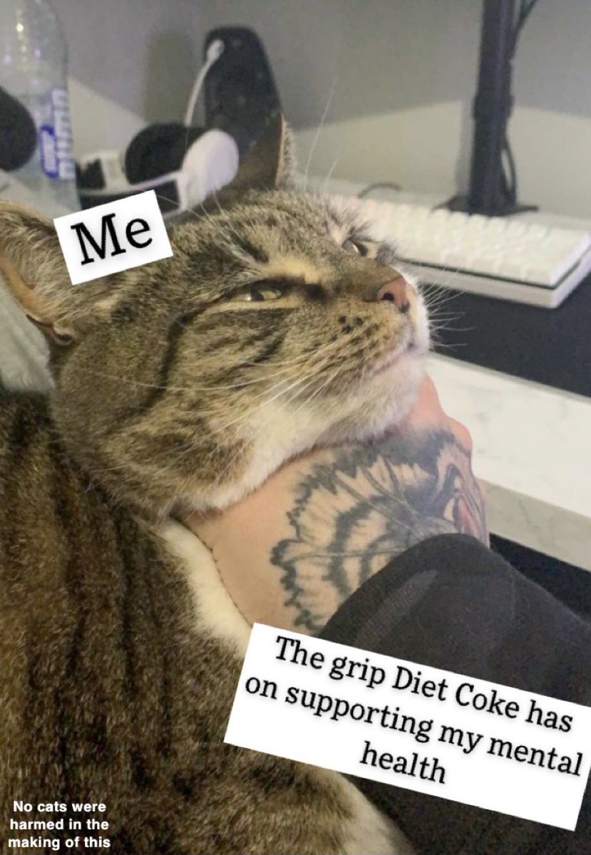 BeccabandsX's tweet photo. Diet Coke is amazing and it will now be on repeat until the album comes, thank you for feeding us mummy @leannafirestone https://t.co/dqagGHrdyr