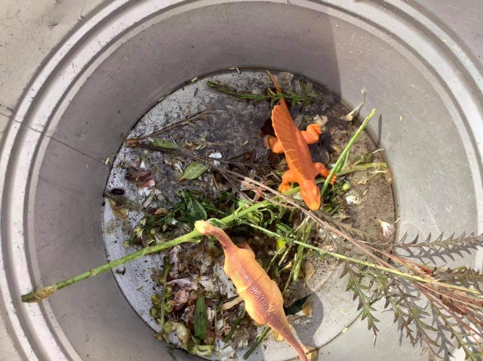 Burns Bairns tweet media