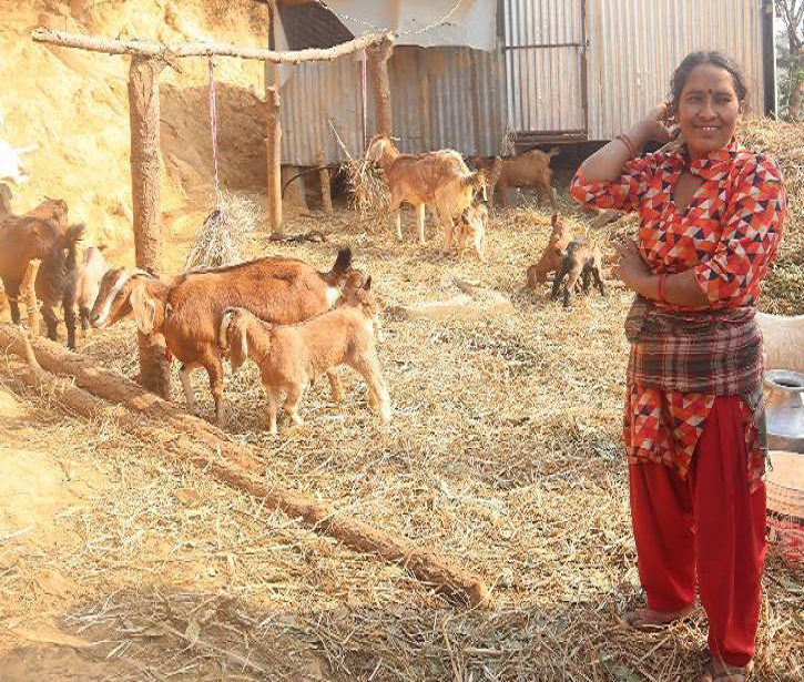 HOPEInt's tweet image. “I would like to add more goats in my farm and want to become an example of female entrepreneur in my community” says Kabita Mainali in Sindhupalchowk, Nepal.

Learn more about our Self Help Groups here: hope-international.com/livelihood
