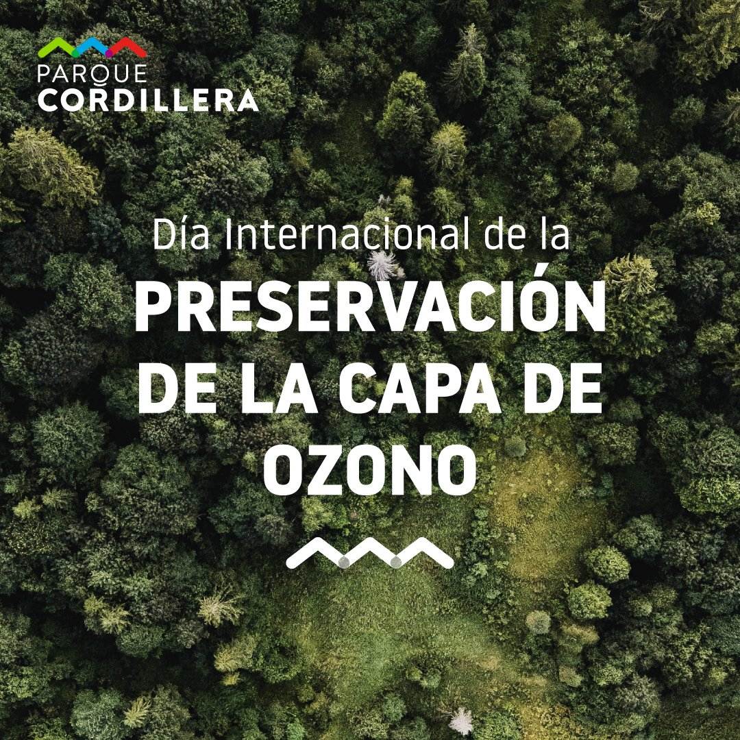 Para cuidar de nuestro planeta es necesario tomar acciones concretas entre todos. Es por esto que en 1985 se decidió escoger un día en el que se realizaran actividades para cuidar nuestra capa de ozono. ¿Qué acciones realizas en tu día a día para proteger al medioambiente?