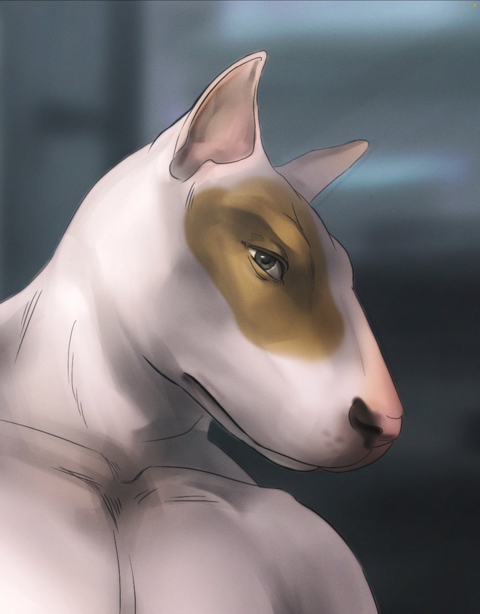 CARCHAROKET's tweet photo. поздравила друга с др так сказать 
#furryart #furryanthro #NSFWArtist https://t.co/Njcgo7SHlB