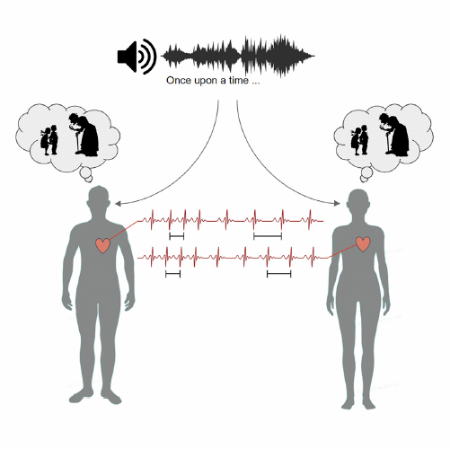CellPressNews's tweet photo. New study finds that people's heart rates synchronize when listening closely to a story--even if they're not in the same room. The research suggests that attention and consciousness are key for this phenomenon to occur. Read more in @CellReports: https://t.co/B8R46uPhcc

@jdsitt https://t.co/0kRfFq5KXb