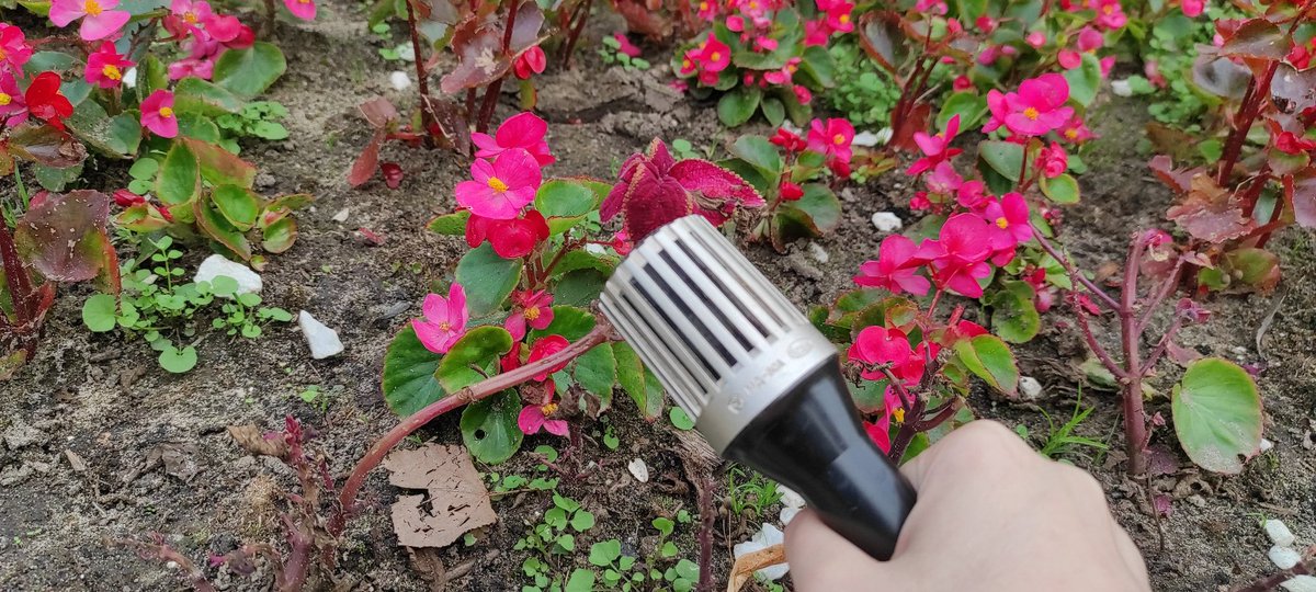 Если дети - это цветы жизни, то цветы - это достойные дети ямы местного бюджета, куда граждане скидывают налоговые средства! Денежный перегной образует неплохую почву для сходов на всходы зелени с примесью яркости на кончике стебля!