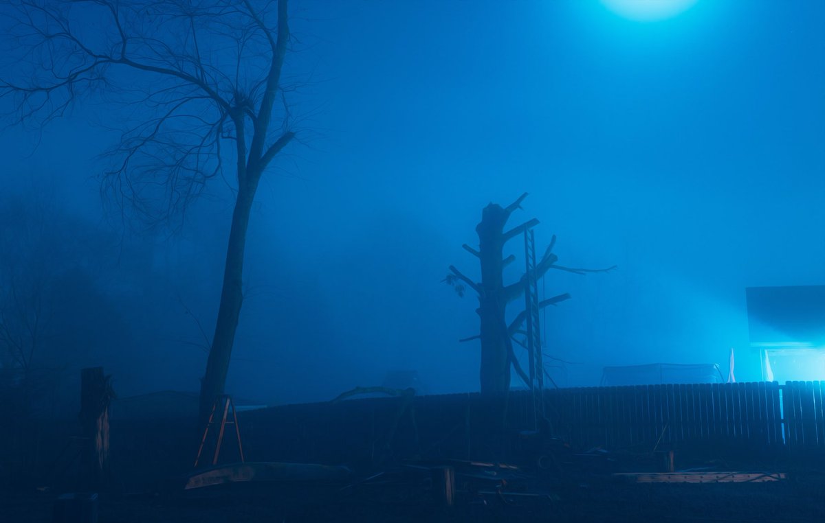 whateveroxy's tweet image. into the dark