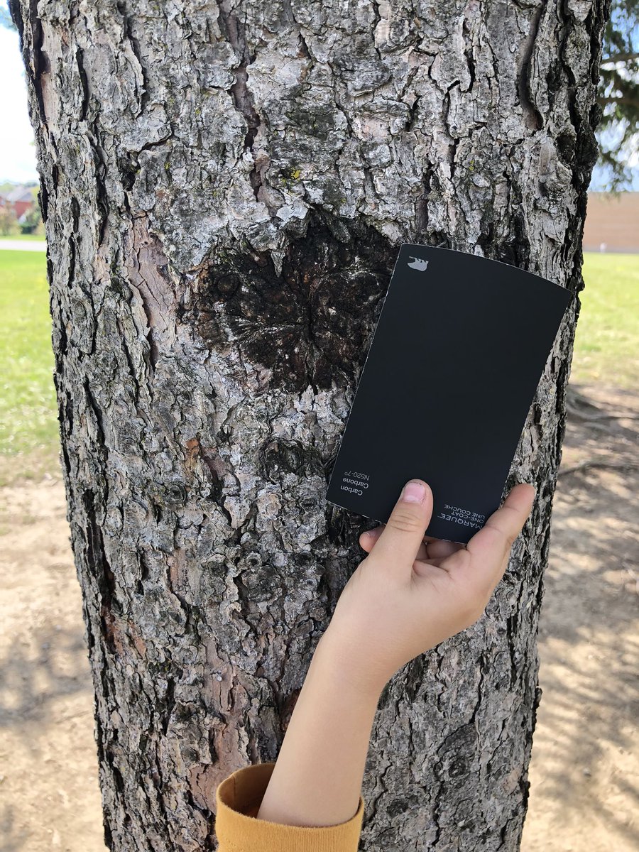 Ms.Sproxton tweet media