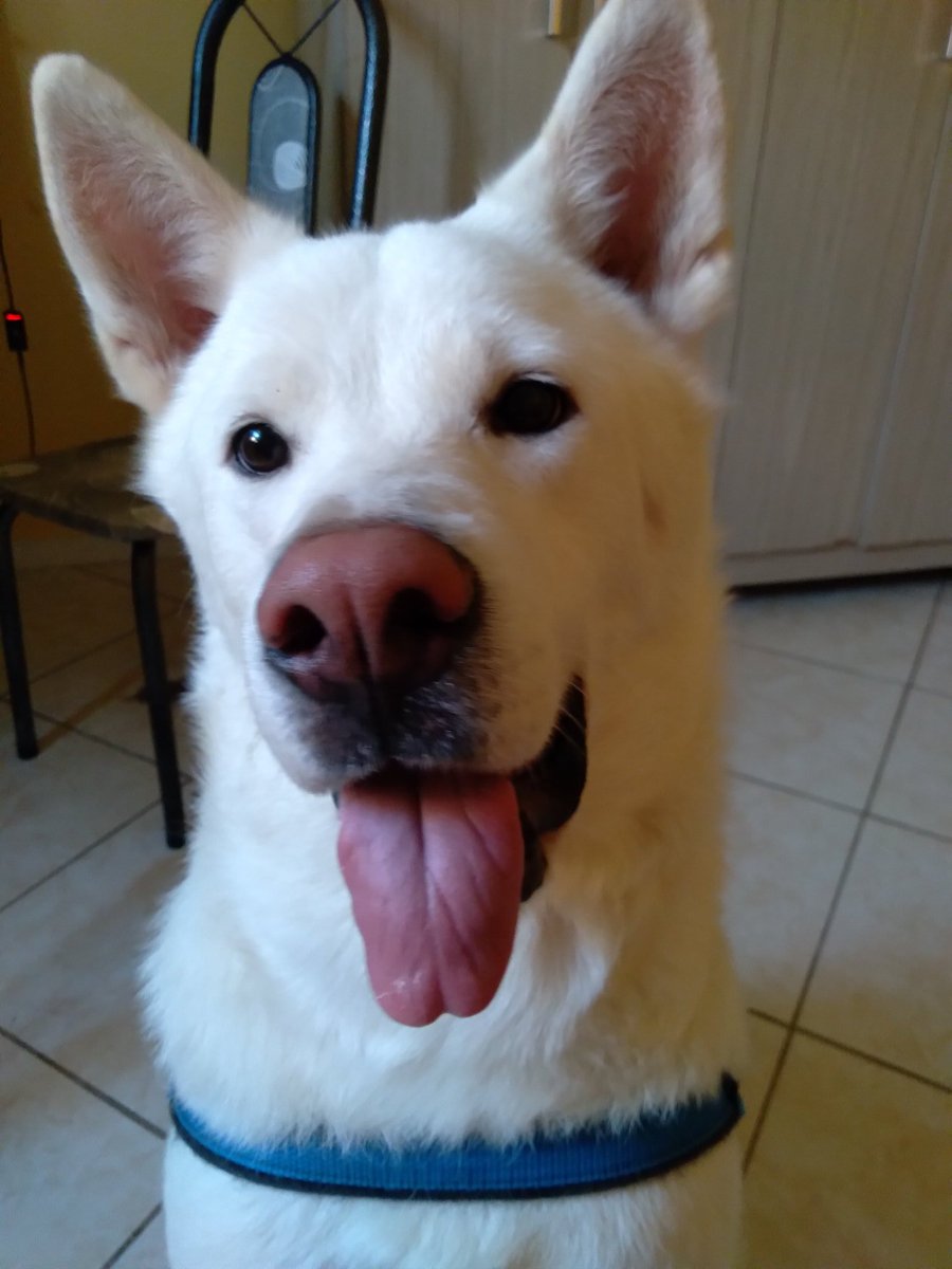 boltfps's tweet image. 