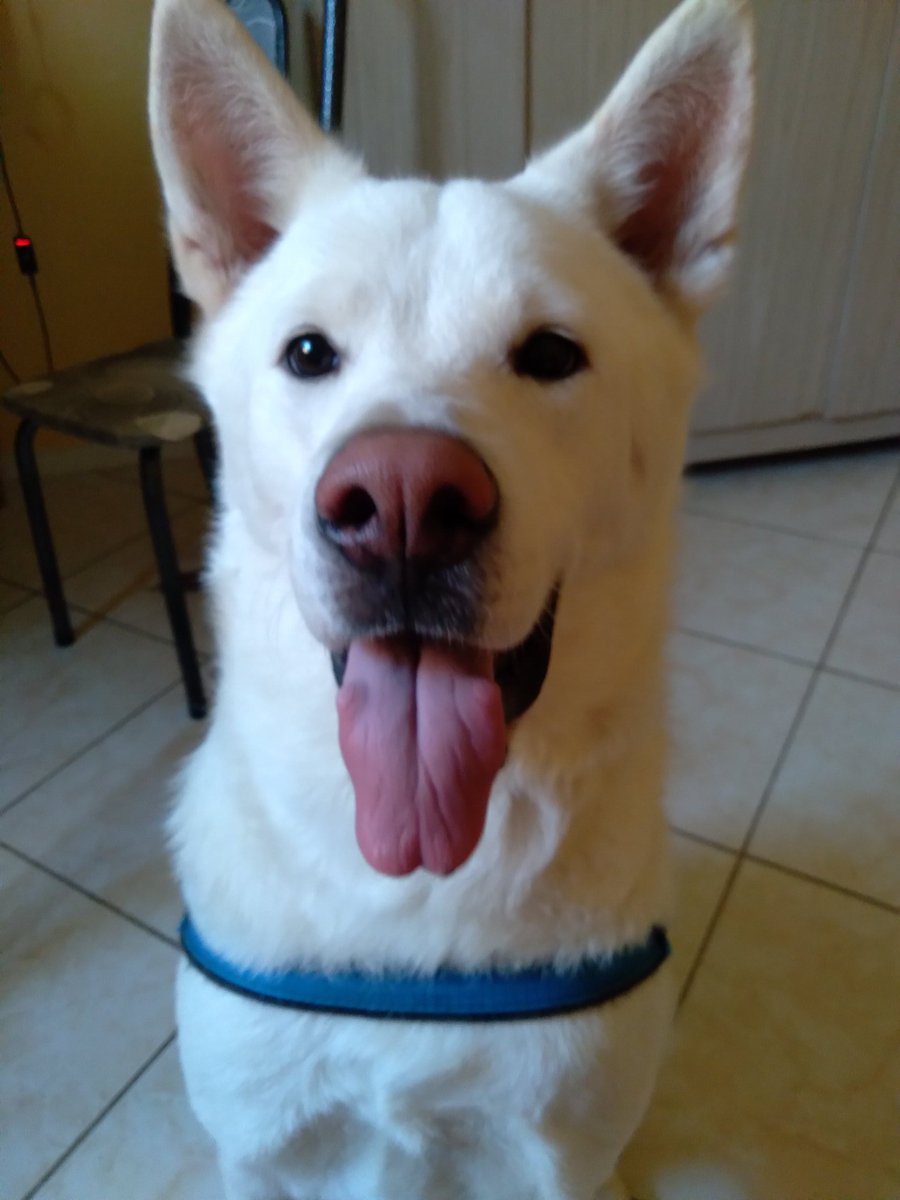 boltfps's tweet image. 