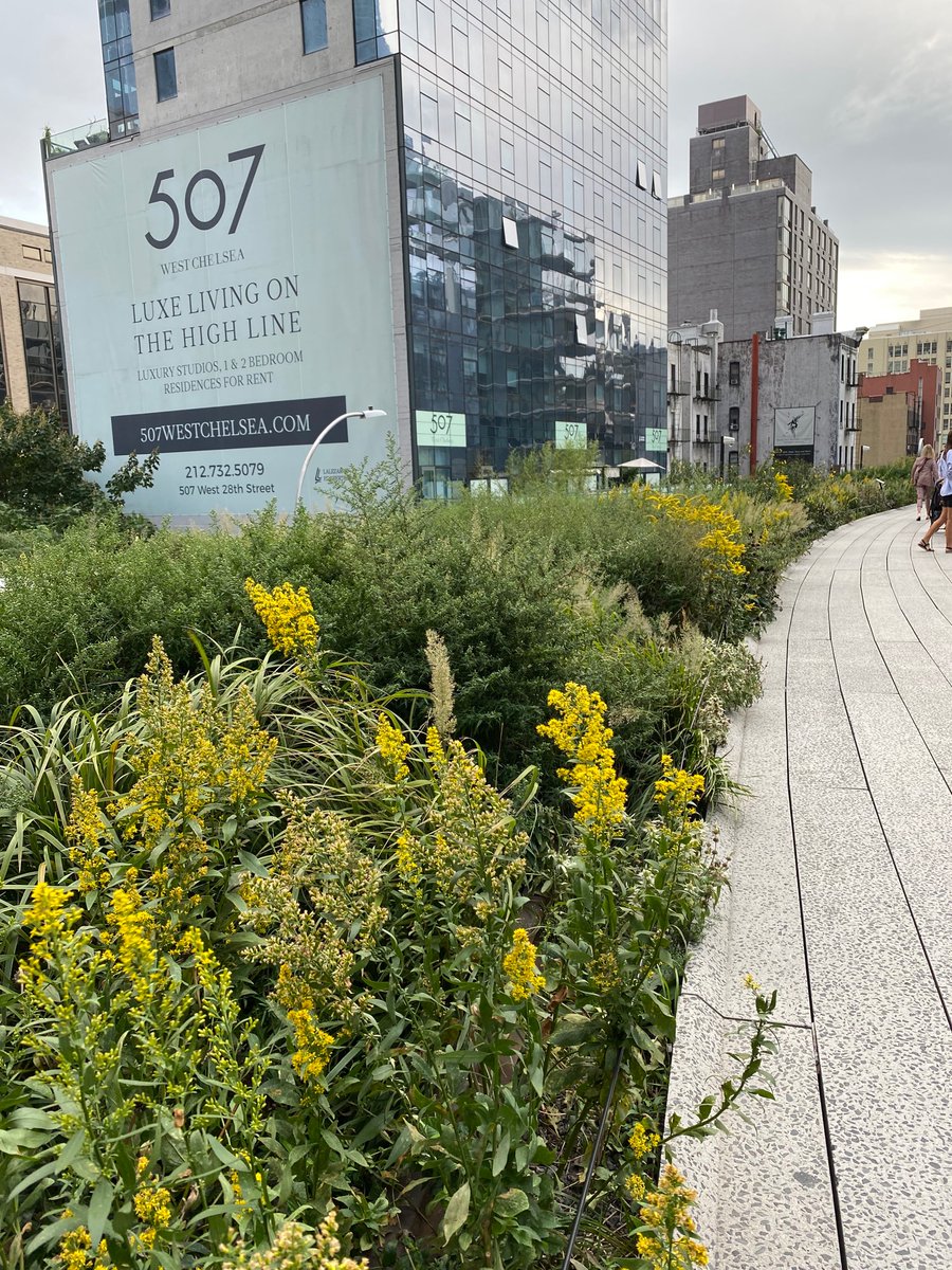 MelissaConnoll6's tweet photo. #midweekadventure High Line to Chelsea Piers waiting to sail. https://t.co/zIW19vT79i